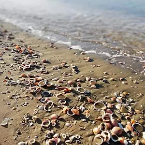 Azzurromare Flat Apartment Lido di Ostia